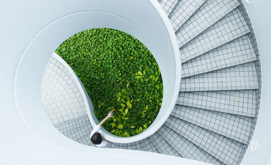 浙江MSD集团股份有限公司。