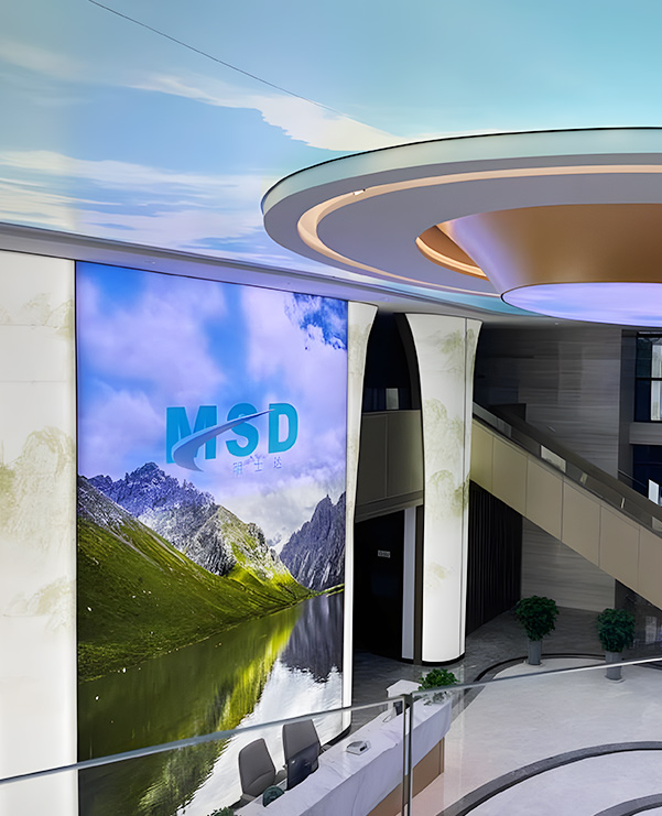 浙江MSD集团股份有限公司。